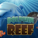 Dolphin Reef